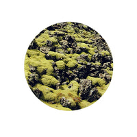 Icelandic Nature 12 pk | Coaster