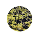 Icelandic Nature 12 pk | Coaster