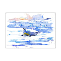 Seal a little show | Postcard